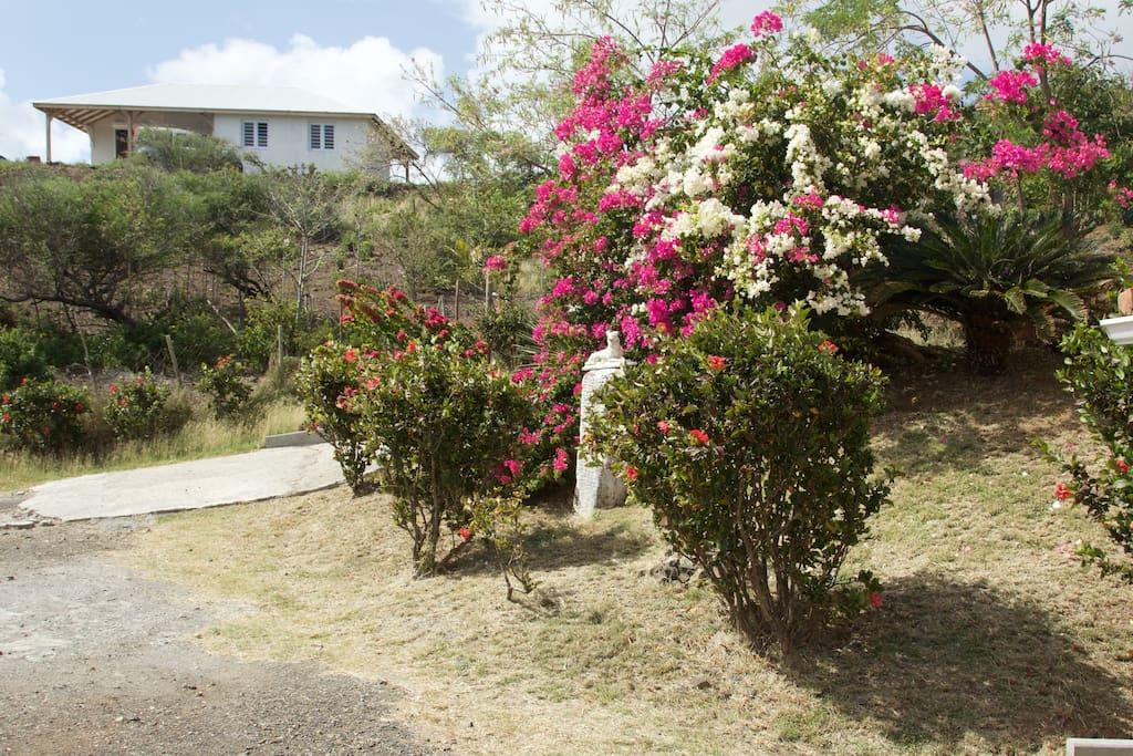 Appartement Vacances Goyave Cap Chevalier Exterior photo