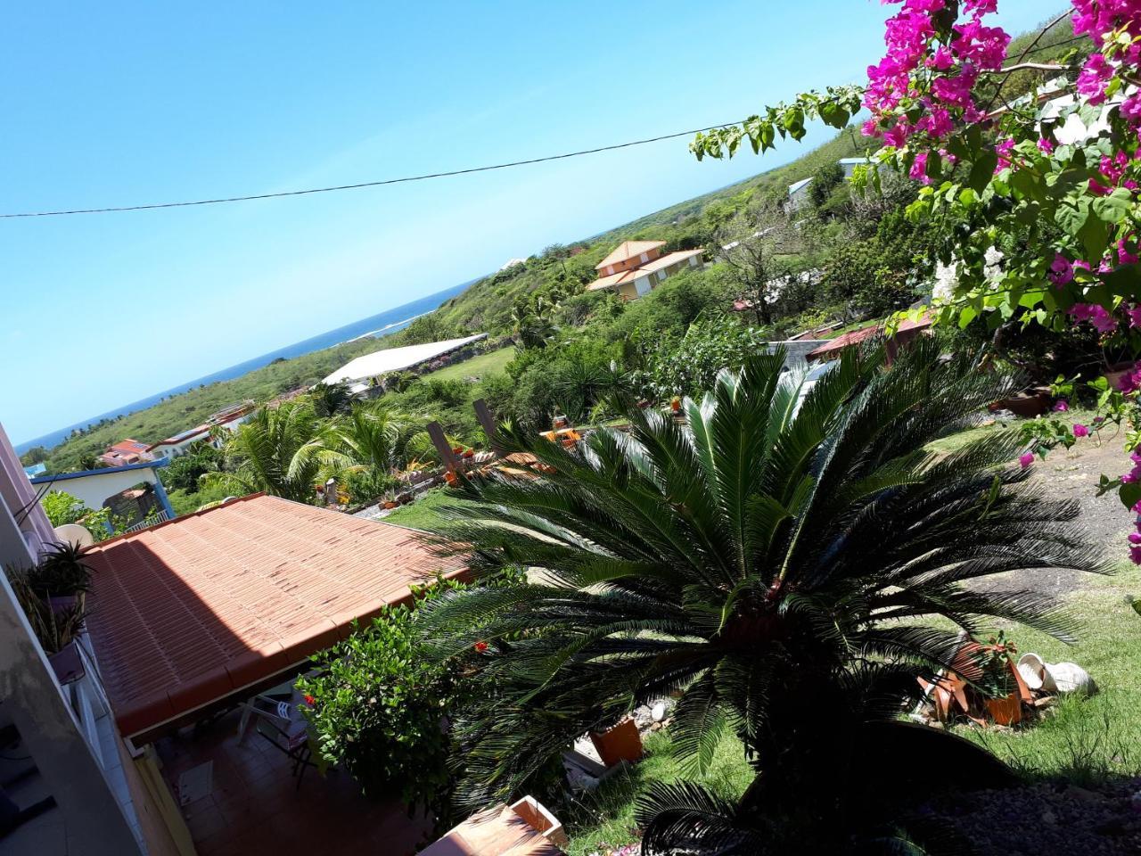 Appartement Vacances Goyave Cap Chevalier Exterior photo